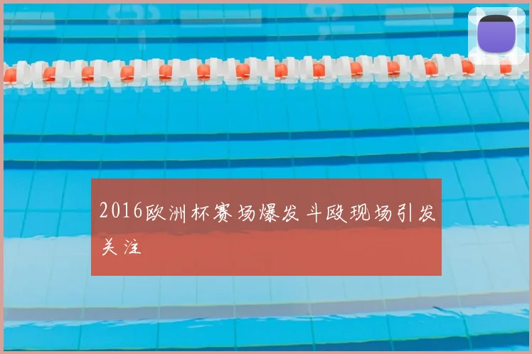 2016欧洲杯赛场爆发斗殴现场引发关注