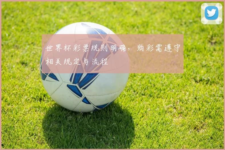 世界杯彩票规则明确,购彩需遵守相关规定与流程